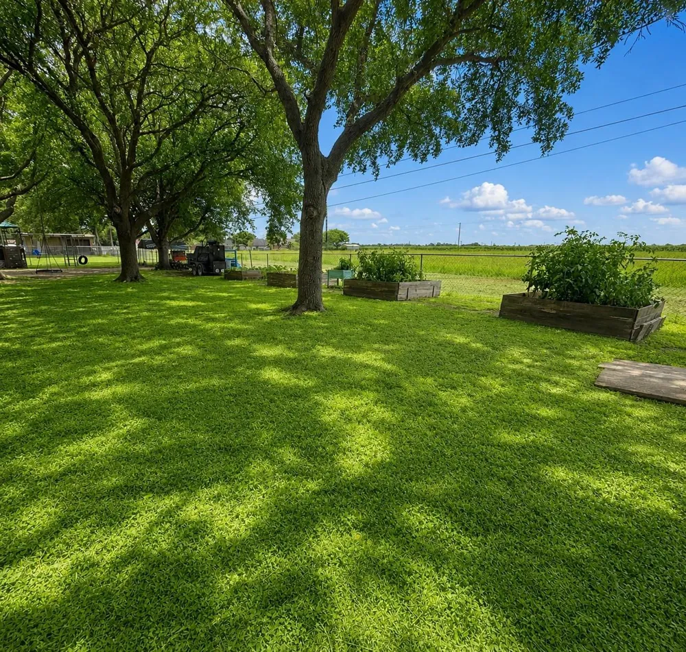 809 John Albert Dr East Bernard, TX 77435