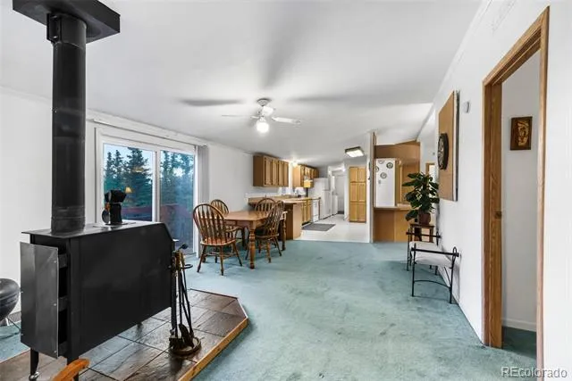 647 Wampum Lane Como, CO 80432