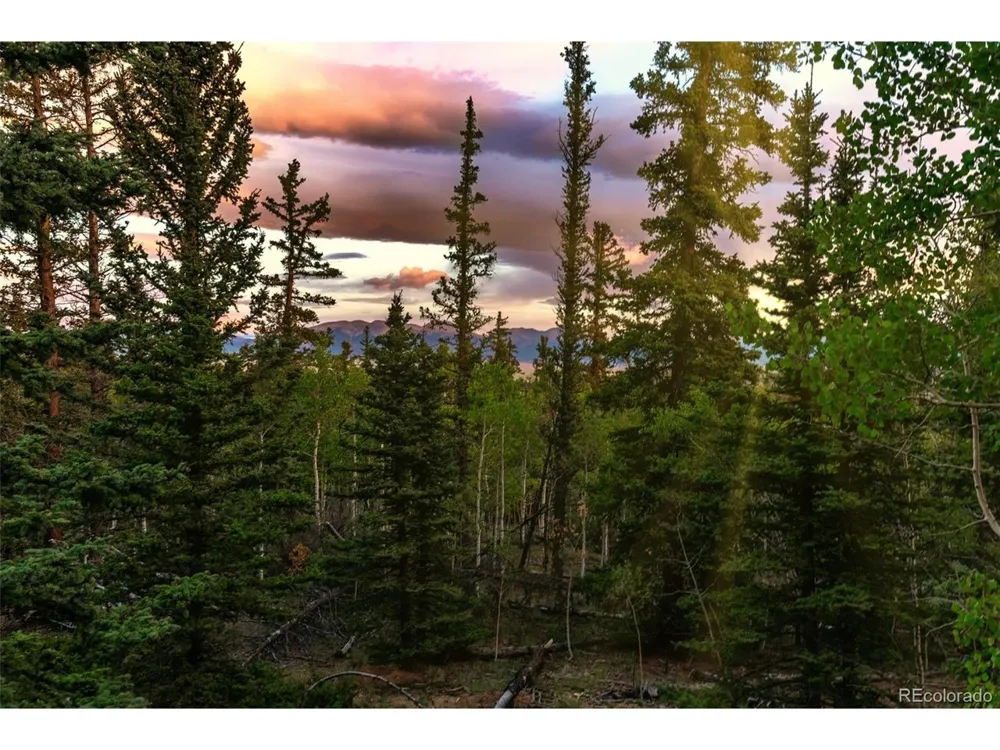 647 Wampum Lane Como, CO 80432