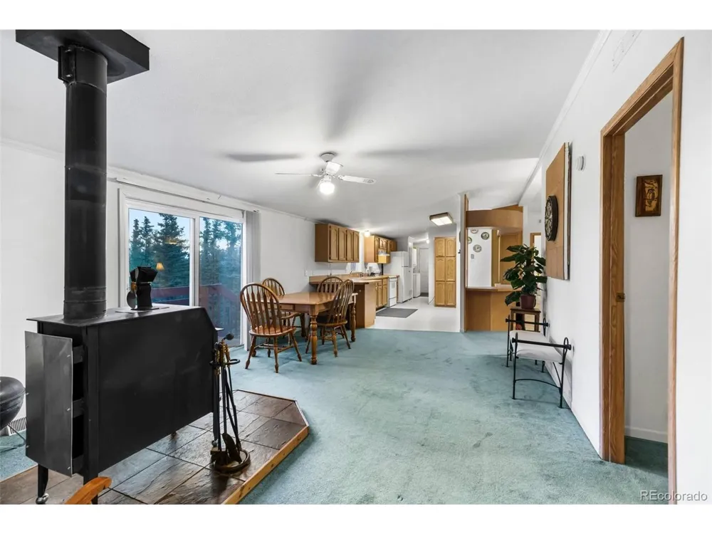 647 Wampum Lane Como, CO 80432