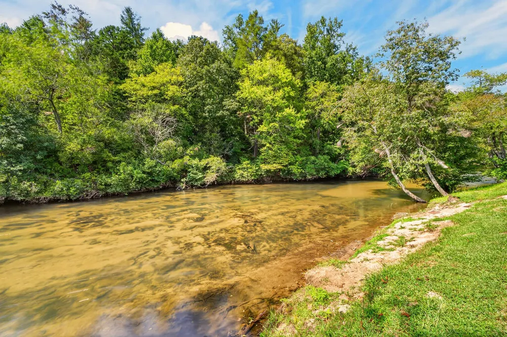 113 Downy Road Blue Ridge, GA 30513
