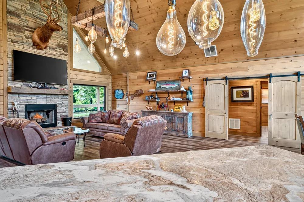 113 Downy Road Blue Ridge, GA 30513