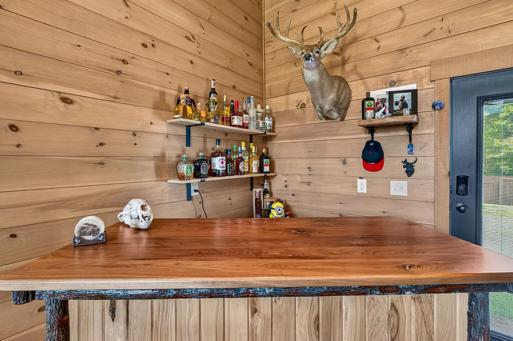 113 Downy Road Blue Ridge, GA 30513