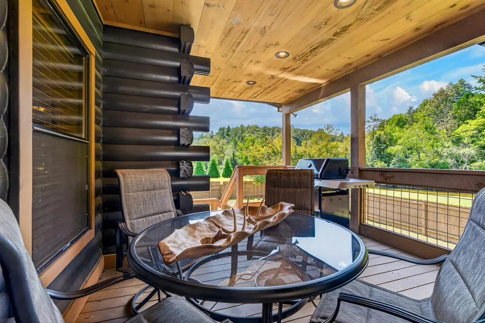 113 Downy Road Blue Ridge, GA 30513