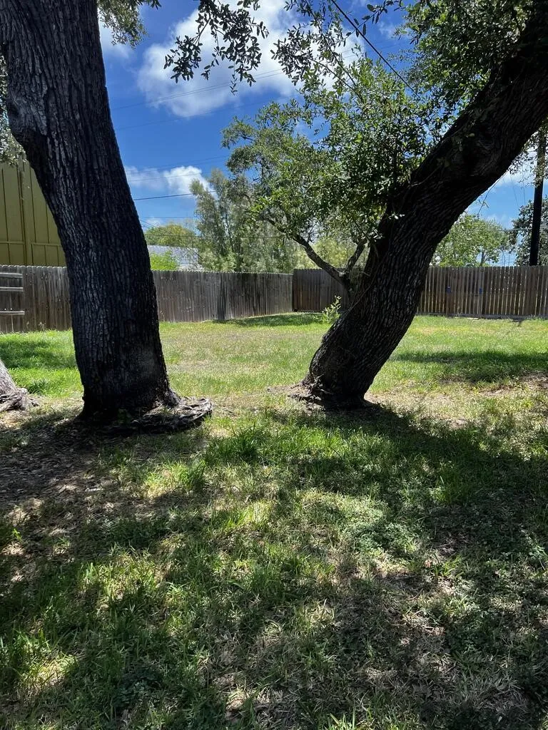 131 S Rife Aransas Pass, TX 78335