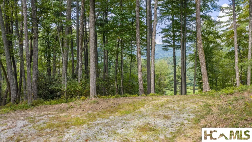 FE-3 Triple Farm Road Cashiers, NC 28717