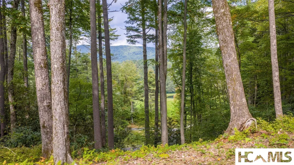 FE-3 Triple Farm Road Cashiers, NC 28717