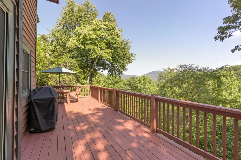 203 Cucumber Court Sapphire, NC 28774