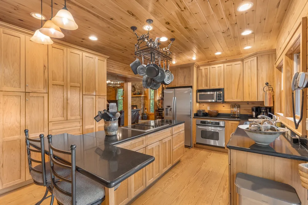203 Cucumber Court Sapphire, NC 28774