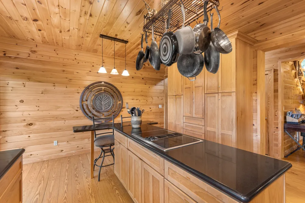 203 Cucumber Court Sapphire, NC 28774