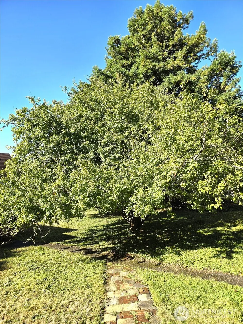 508 Cedar Street NE Ilwaco, WA 98624