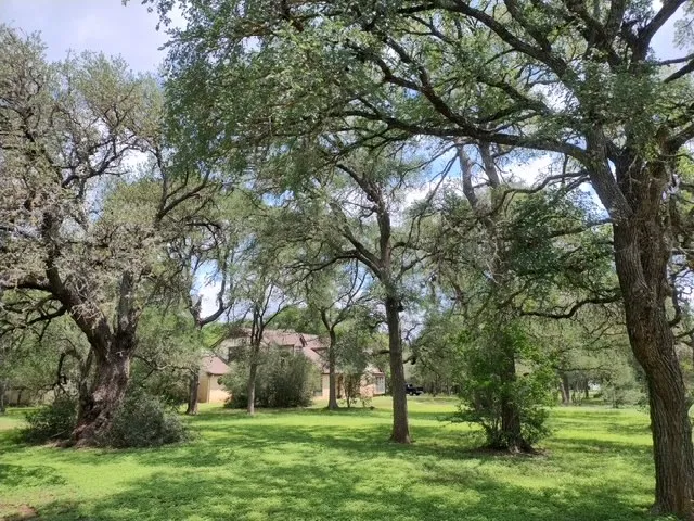 1112 Live Oak Loop Buda, TX 78610