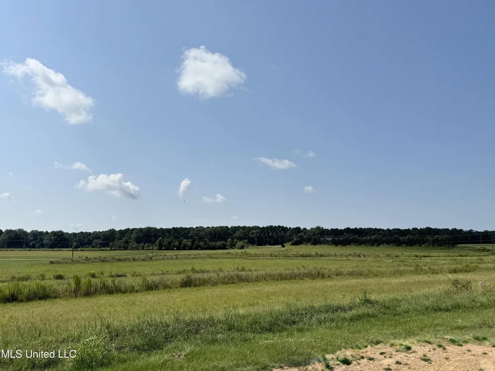 R1 Old Hwy 16 Benton, MS 39039