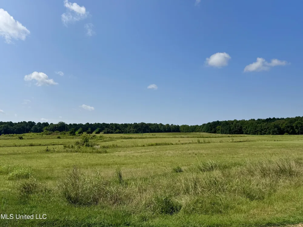R1 Old Hwy 16 Benton, MS 39039