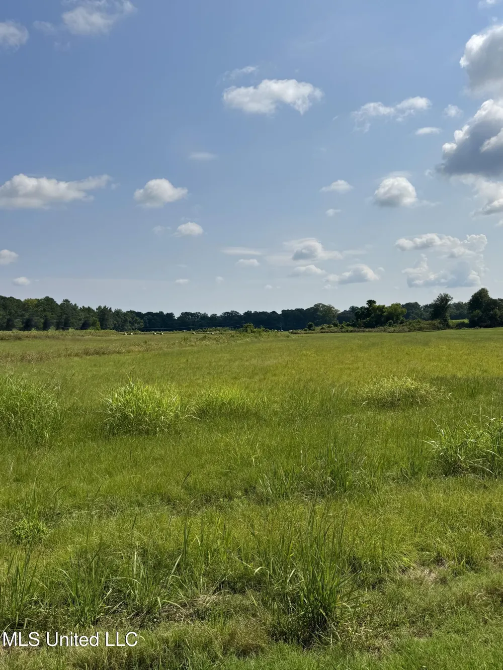 R1 Old Hwy 16 Benton, MS 39039