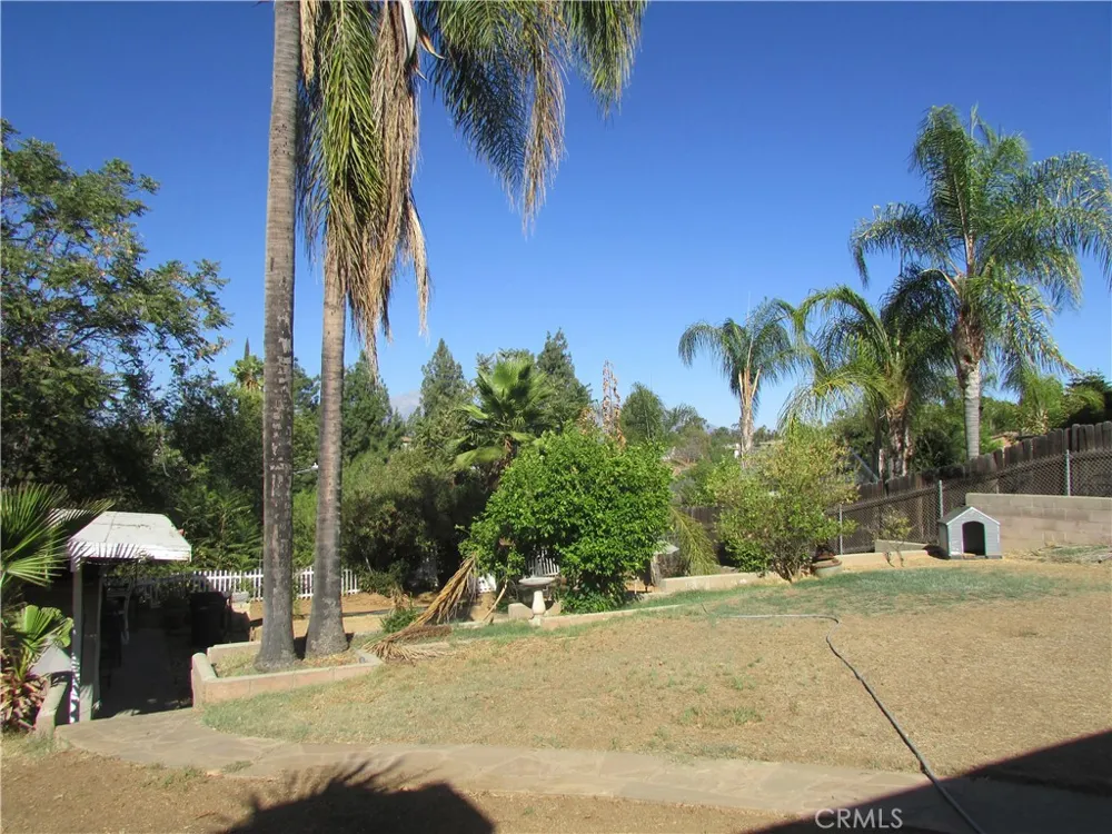 1407 Pacific Street Redlands, CA 92373