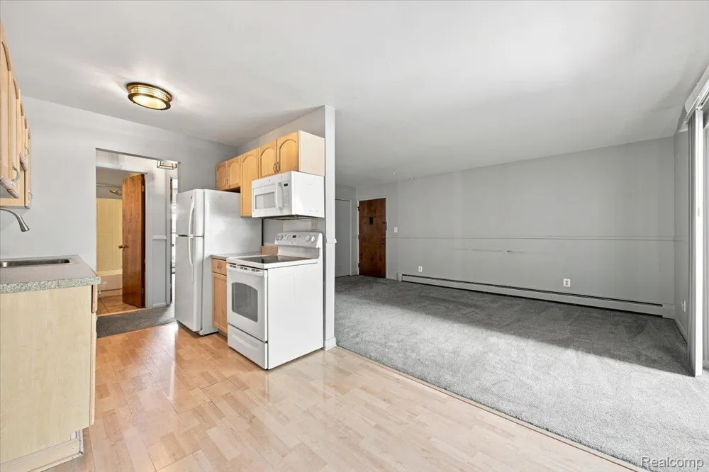250 Liberty Street #206 Belleville City, MI 48111