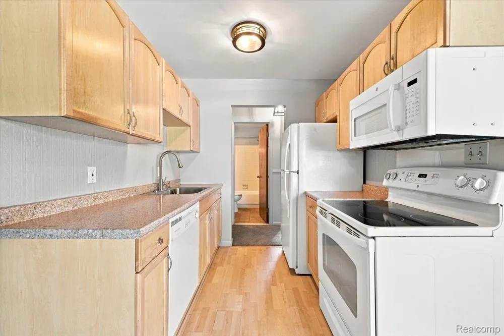 250 Liberty Street #206 Belleville City, MI 48111