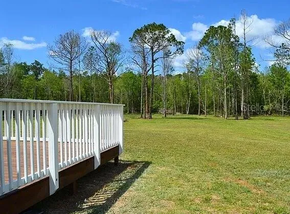 307 COUNTRY WORLD DRIVE W Davenport, FL 33897