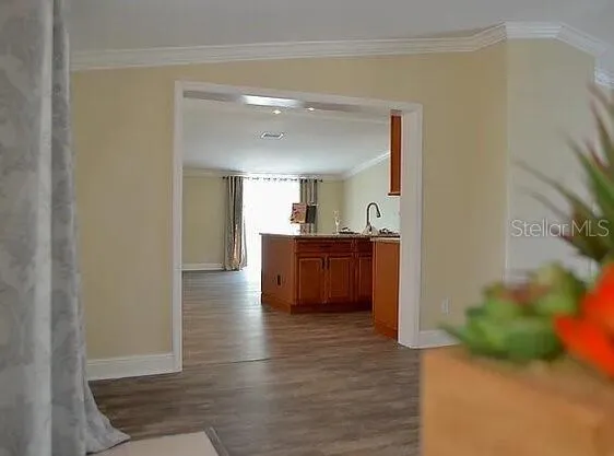 307 COUNTRY WORLD DRIVE W Davenport, FL 33897