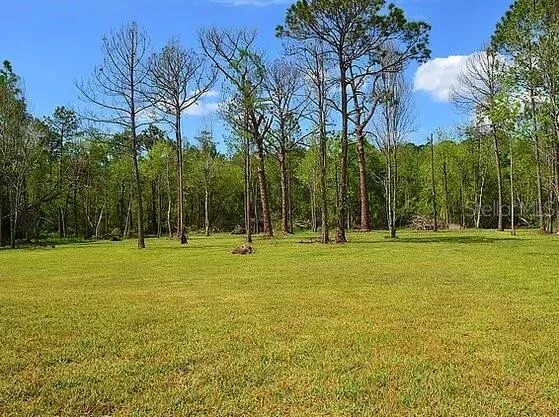307 COUNTRY WORLD DRIVE W Davenport, FL 33897