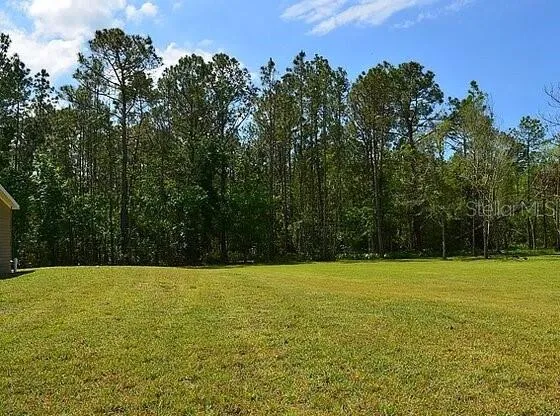 307 COUNTRY WORLD DRIVE W Davenport, FL 33897