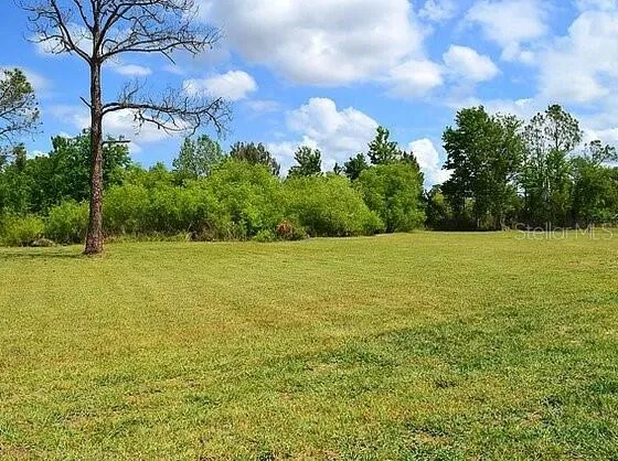 307 COUNTRY WORLD DRIVE W Davenport, FL 33897