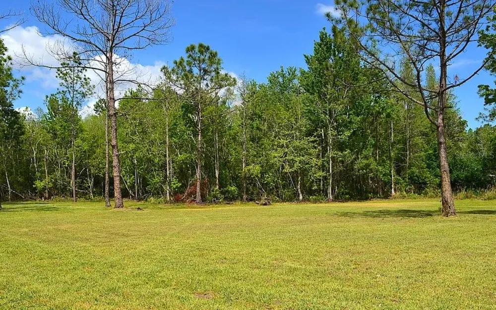 307 COUNTRY WORLD DRIVE W Davenport, FL 33897