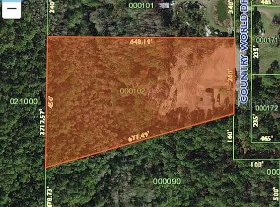 307 COUNTRY WORLD DRIVE W Davenport, FL 33897