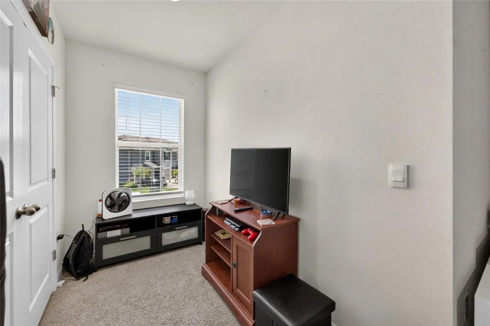 33046 MAJOR OAK DRIVE Wesley Chapel, FL 33545