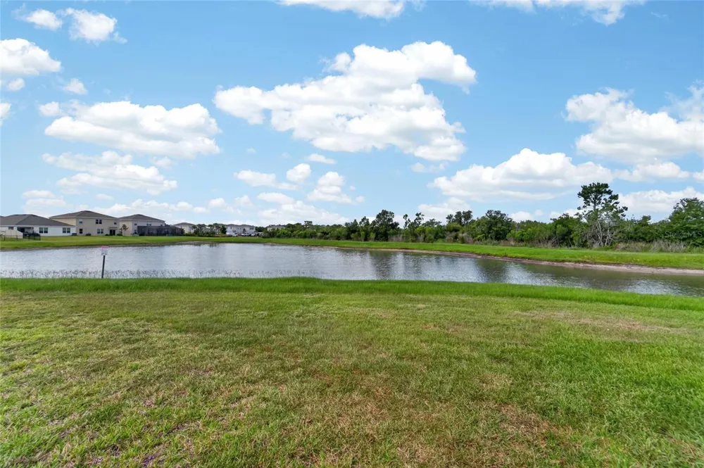 33046 MAJOR OAK DRIVE Wesley Chapel, FL 33545