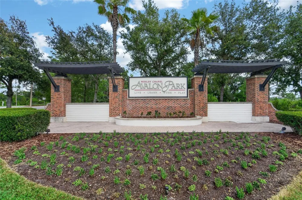 33046 MAJOR OAK DRIVE Wesley Chapel, FL 33545