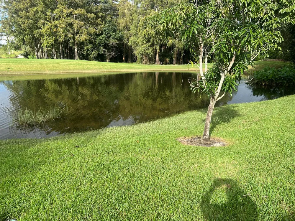 4638 CARLTON GOLF DRIVE Lake Worth, FL 33449