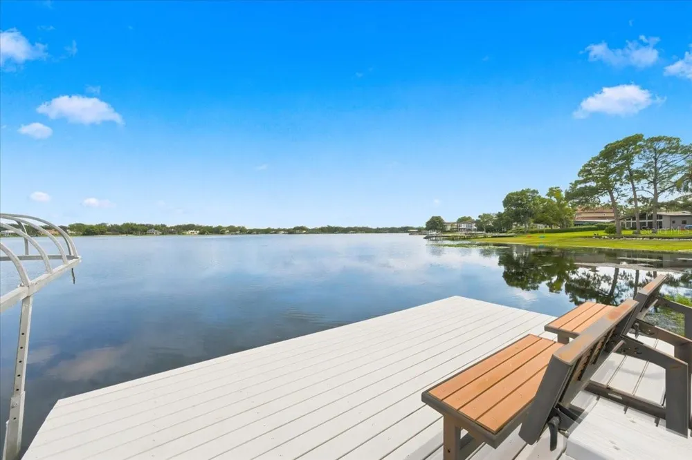 11609 CARROLLWOOD DRIVE Tampa, FL 33618