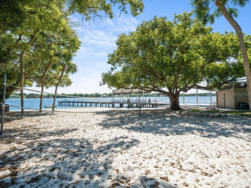 11609 CARROLLWOOD DRIVE Tampa, FL 33618