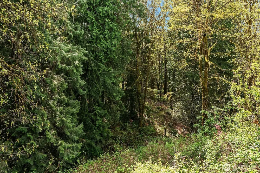 3402 20th Avenue Ct SE Puyallup, WA 98372