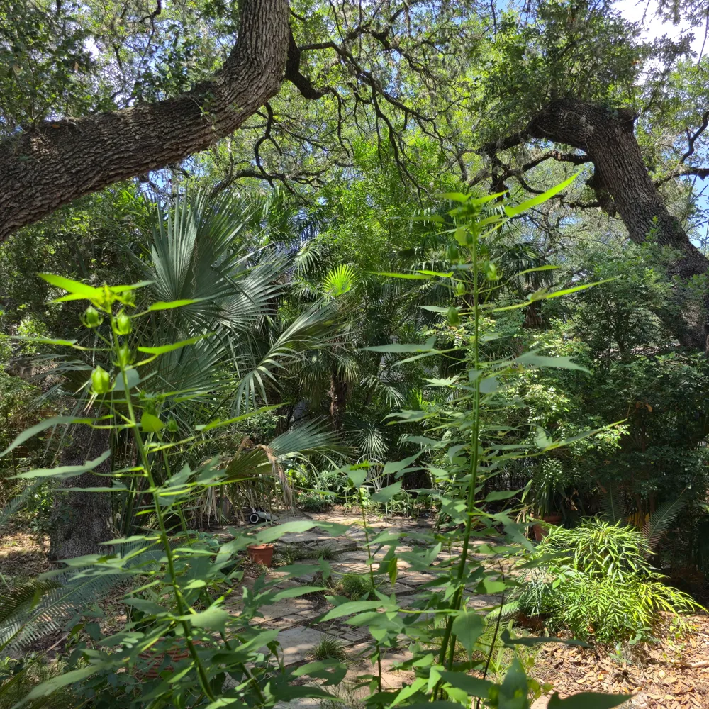 1111 W Oltorf Street Austin, TX 78704