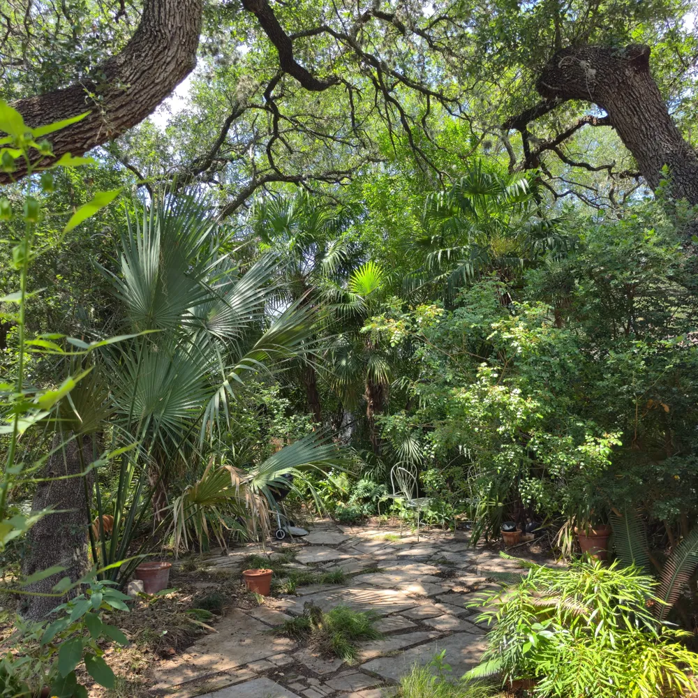 1111 W Oltorf Street Austin, TX 78704