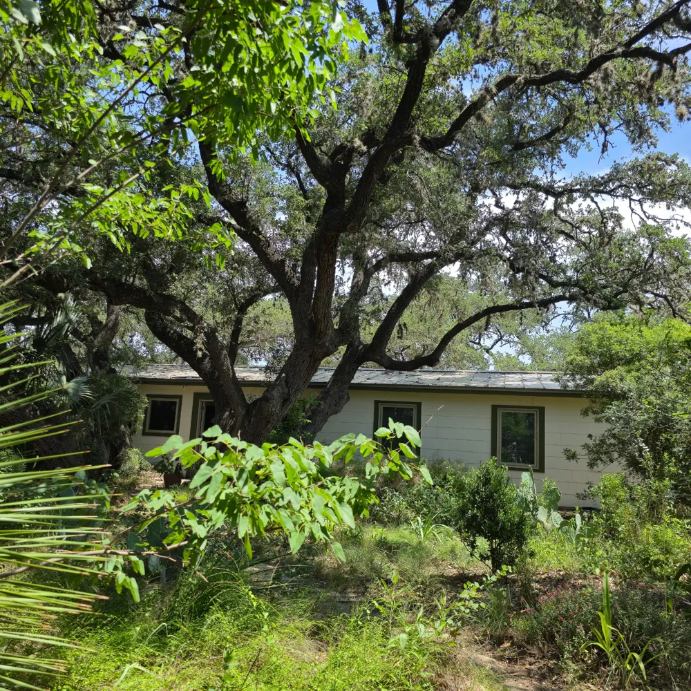 1111 W Oltorf Street Austin, TX 78704