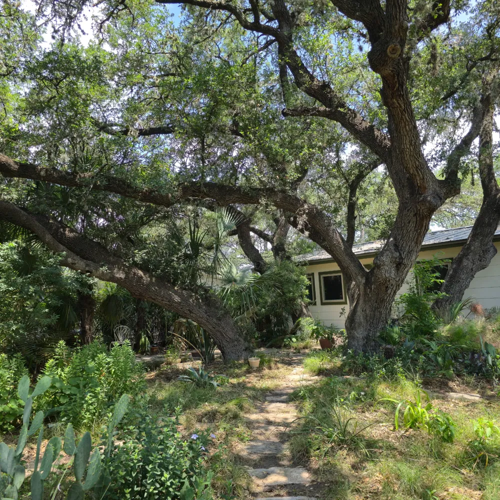 1111 W Oltorf Street Austin, TX 78704