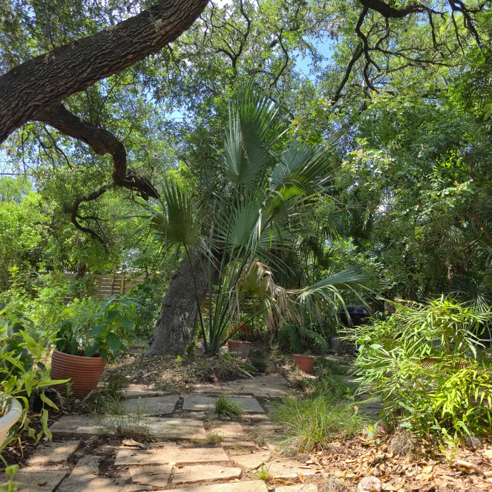 1111 W Oltorf Street Austin, TX 78704