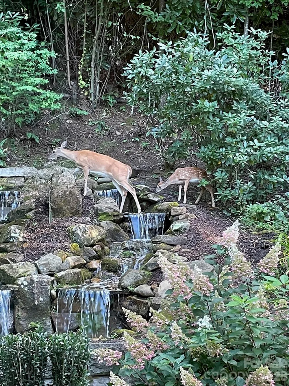 330 Sanctuary Drive Waynesville, NC 28786