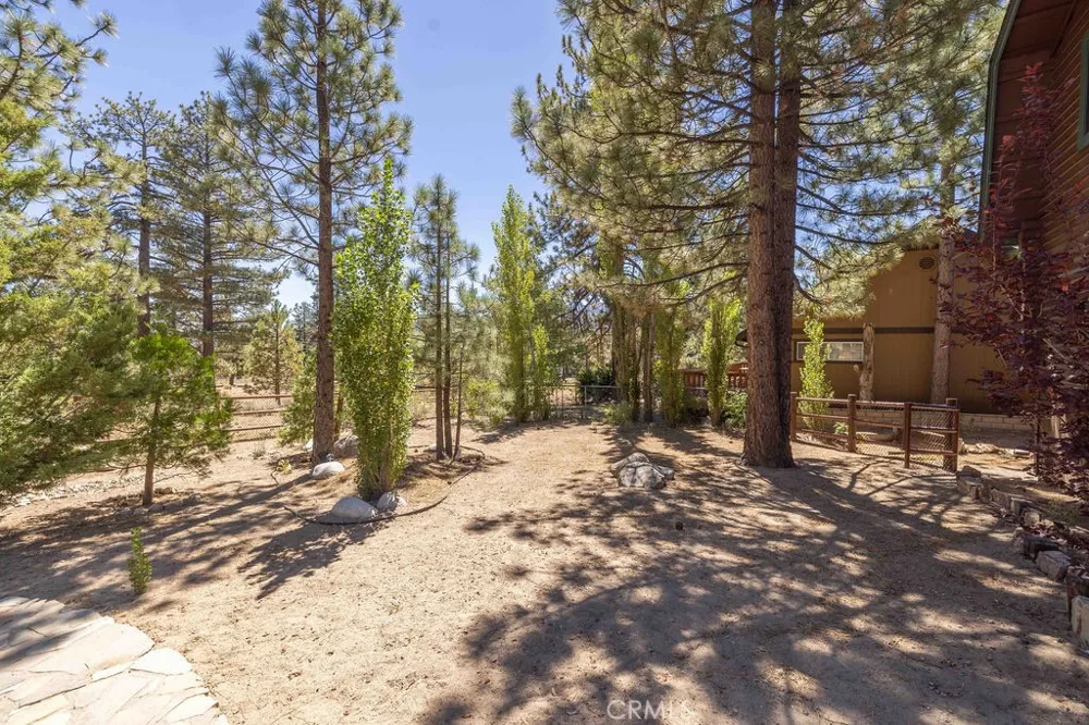 1128 Gold Mountain Drive Big Bear City, CA 92314