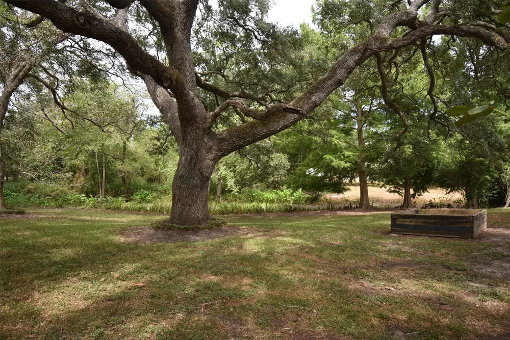 3205 Avenue K Bay City, TX 77414