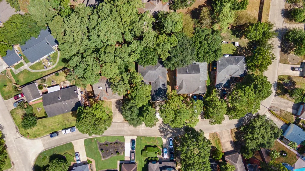 59 Laughing Brook Court The Woodlands, TX 77380