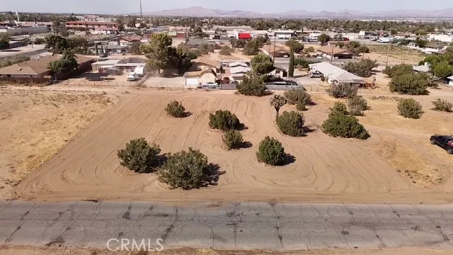 Olive Hesperia, CA 92345