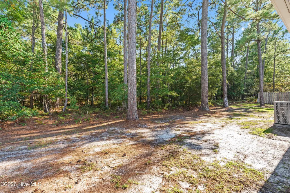 1631 Chadwick Shores Drive Sneads Ferry, NC 28460
