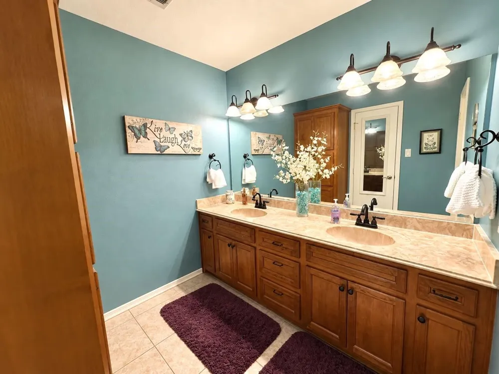 307 Standing Oaks Lane Sealy, TX 77474
