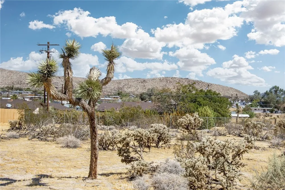 61900 Verbena Road Joshua Tree, CA 92252