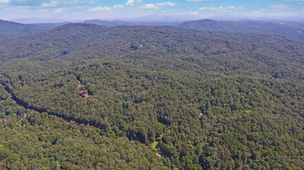 1374 Lucius Road Cherry Log, GA 30522